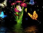 Butterflies at Night