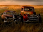 Old Cars on Field