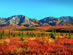 Autumn in Alaska