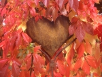 Autumn Heart