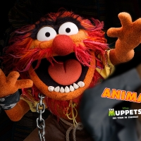 Jim Hensons Muppets