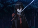 Akame's Sword