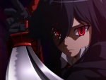 Akame the Killer