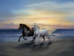 Horses Running at Beach Sunset