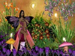 My Fairy in my Garden