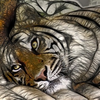 Tiger fractal