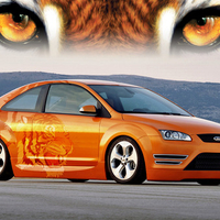 ford focus tiger