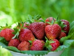 Strawberries