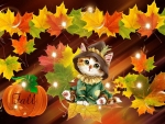 Fall cat