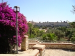 Jerusalem Garden