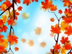 Autumn Leaves
