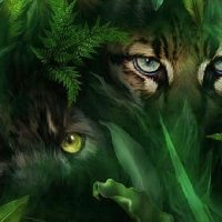 'Jungle eyes'.....