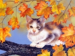 Autumn Kitten