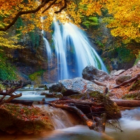 Forest waterfall in autumn
