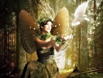 Fairy with Dove