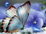 à®Butterflyà®