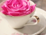 Rose Cup