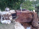 Medieval camp 2
