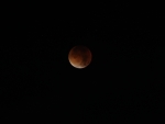 bloodmoon