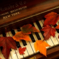 âœ¿âŠ±â€¢â•®Autumn Pianoâ•­â€¢âŠ°âœ¿