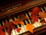 âœ¿âŠ±â€¢â•®Autumn Pianoâ•­â€¢âŠ°âœ¿