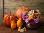 Autumn Still Life