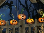 Halloween Jack O\' Lanterns