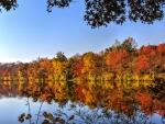 Autumn Lake