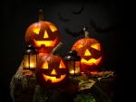 Halloween Jack O' Lanterns