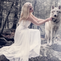 Beauty and the Wolf