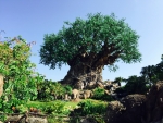 Tree of Life