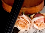 *roses and music*