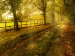 Autumn path