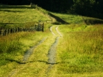 Grass trail