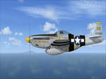 P-51 Mustang, Snooks