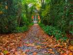 Alley in autumn  HDR  garden