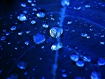 Blue Drops