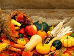 Autumn Cornucopia