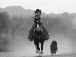 ~Cowgirl~
