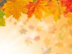 Autumn Leaves