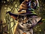 Halloween Cat
