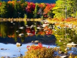Autumn Lake