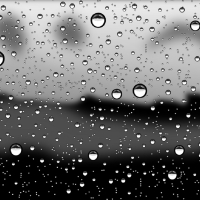 Rain Drops