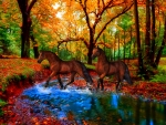 *Ride to the autumnal forest*