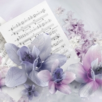 Lavender Music