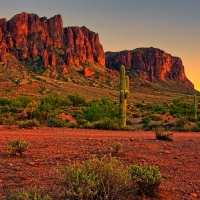 Sunrise in the Desert