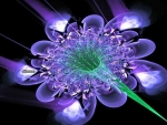 flower,purple,green,lights,