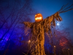 Spooky Scarecrow Forest