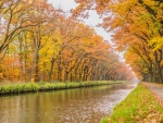 Autumn River