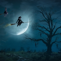 Witcher 3 Halloween Broomstciks